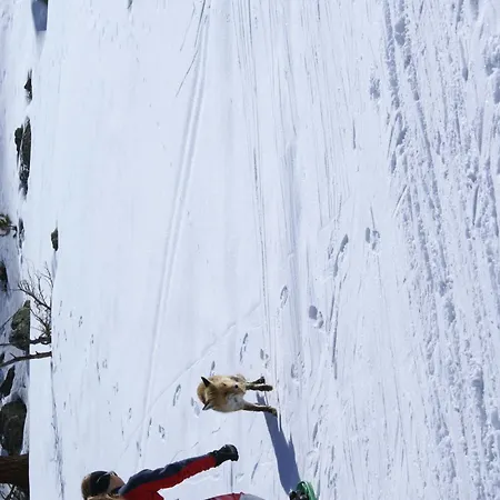 Boule De Neige Hotel