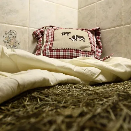 Hotel Boule De Neige Rhêmes-Notre-Dame