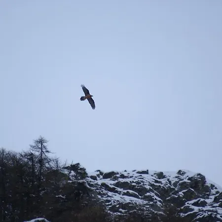 ホテル Boule De Neige