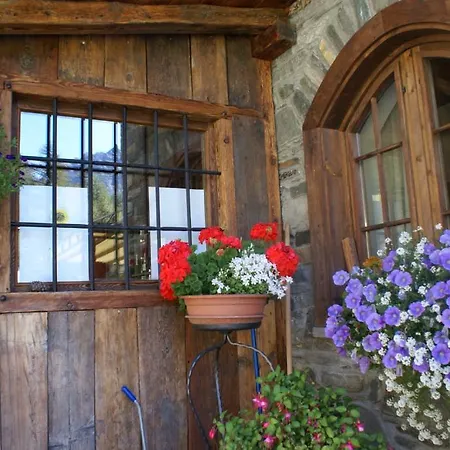 Boule De Neige 레메스-노트르-담