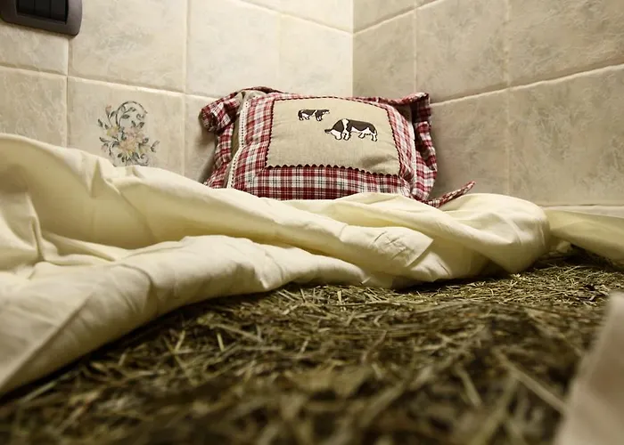 Hotel Boule De Neige Rhemes-Notre-Dame