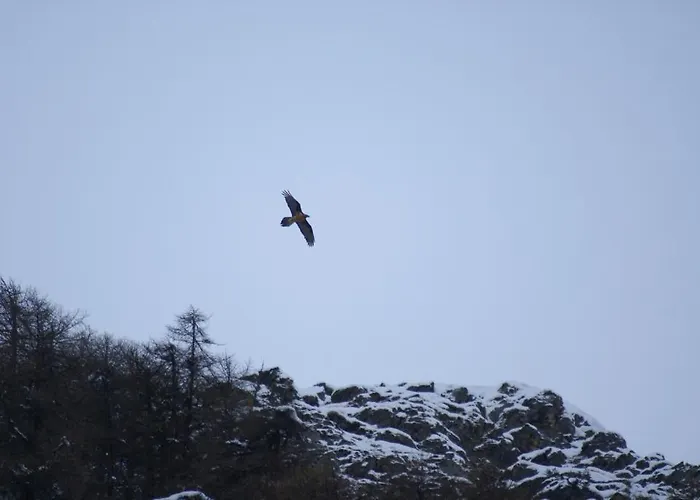 Hotel Boule De Neige