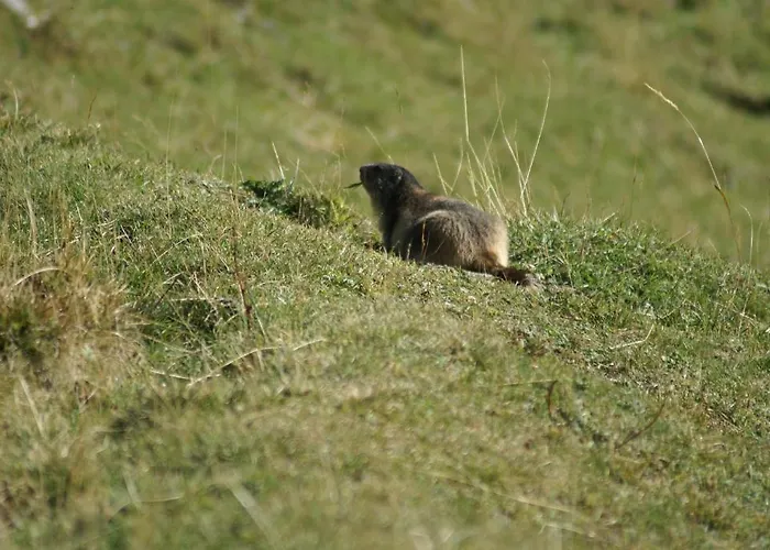 Hotel Boule De Neige 3*